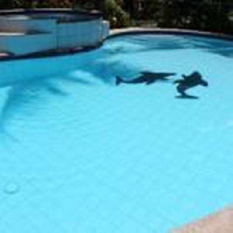Lost Horizon Beach Dive Resort Bohol Exterior photo